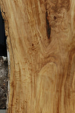 Load image into Gallery viewer, Crotchwood Figured Cottonwood Slab

