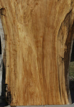 Load image into Gallery viewer, Crotchwood Figured Cottonwood Slab

