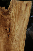 Load image into Gallery viewer, Crotchwood Figured Cottonwood Slab
