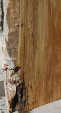 Load image into Gallery viewer, Crotchwood Figured Cottonwood Slab
