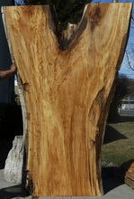 Load image into Gallery viewer, Crotchwood Figured Cottonwood Slab
