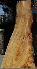 Load image into Gallery viewer, Figured Cottonwood Slab
