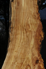 Load image into Gallery viewer, Figured Cottonwood Slab
