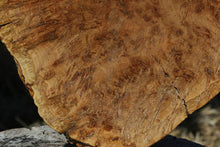 Load image into Gallery viewer, Red Gum Burl Cap
