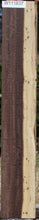 Load image into Gallery viewer, Quartersawn Figured Mexican Royal Ebony Lumber
