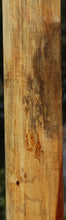 Load image into Gallery viewer, Spalted Jobillo Lumber
