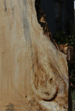 Load image into Gallery viewer, Blue Pine Mini Slab
