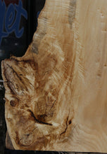 Load image into Gallery viewer, Blue Pine Mini Slab
