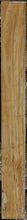 Load image into Gallery viewer, Spalted Jobillo Lumber
