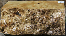 Load image into Gallery viewer, Box Elder Live Edge Bowl Blank
