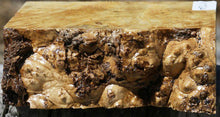 Load image into Gallery viewer, Box Elder Burl Live Edge Bowl Blank
