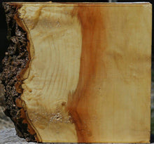 Load image into Gallery viewer, Figured Box Elder Live Edge Bowl Blank
