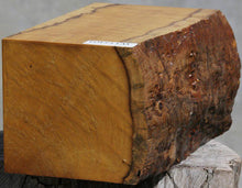 Load image into Gallery viewer, Timborana Vessel Blank Blank
