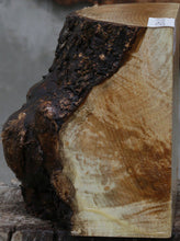Load image into Gallery viewer, Myrtle Burl Cap
