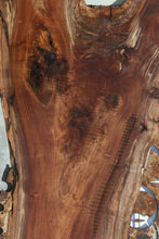 Load image into Gallery viewer, Rustic Claro Walnut Slab
