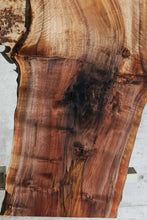 Load image into Gallery viewer, Rustic Grafted English/Claro Walnut Slab
