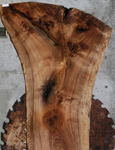 Load image into Gallery viewer, Rustic Grafted English/Claro Walnut Slab
