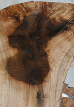 Load image into Gallery viewer, Rustic Grafted English/Claro Walnut Slab
