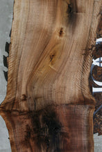 Load image into Gallery viewer, Rustic Grafted English/Claro Walnut Slab

