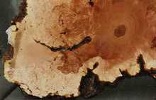 Load image into Gallery viewer, Maple Burl Half Cookie Slab
