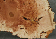 Load image into Gallery viewer, Maple Burl Half Cookie Slab
