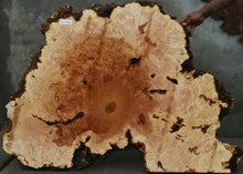 Load image into Gallery viewer, Maple Burl Half Cookie Slab
