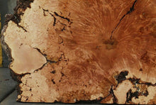 Load image into Gallery viewer, Maple Burl Half Cookie Slab
