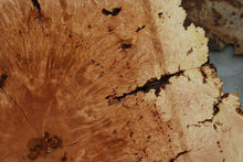 Load image into Gallery viewer, Maple Burl Half Cookie Slab
