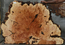 Load image into Gallery viewer, Maple Burl Half Cookie Slab
