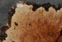 Load image into Gallery viewer, Maple Burl Half Cookie Slab
