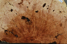 Load image into Gallery viewer, Maple Burl Half Cookie Slab
