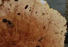 Load image into Gallery viewer, Maple Burl Half Cookie Slab
