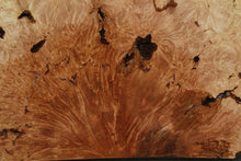 Load image into Gallery viewer, Maple Burl Half Cookie Slab
