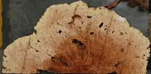 Load image into Gallery viewer, Maple Burl Half Cookie Slab
