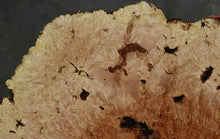 Load image into Gallery viewer, Maple Burl Half Cookie Slab

