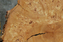 Load image into Gallery viewer, Rustic Douglas Fir Burl Cookie
