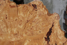 Load image into Gallery viewer, Rustic Douglas Fir Burl Cookie
