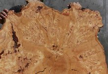 Load image into Gallery viewer, Rustic Douglas Fir Burl Cookie
