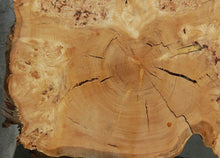Load image into Gallery viewer, Rustic Douglas Fir Burl Cookie
