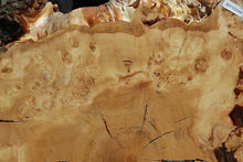 Load image into Gallery viewer, Douglas Fir Burl Cookie
