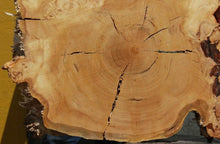Load image into Gallery viewer, Douglas Fir Burl Cookie

