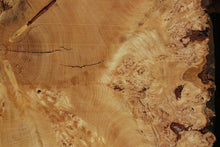 Load image into Gallery viewer, Douglas Fir Cookie
