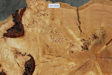 Load image into Gallery viewer, Douglas Fir Cookie
