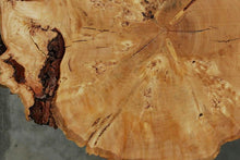 Load image into Gallery viewer, Douglas Fir Cookie
