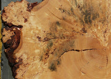 Load image into Gallery viewer, Rustic Douglas Fir Burl Cookie

