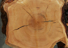 Load image into Gallery viewer, Douglas Fir Cookie
