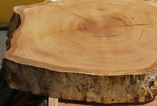 Load image into Gallery viewer, Douglas Fir Cookie
