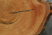 Load image into Gallery viewer, Douglas Fir Cookie
