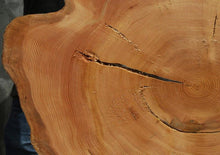 Load image into Gallery viewer, Douglas Fir Cookie
