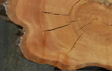 Load image into Gallery viewer, Douglas Fir Cookie
